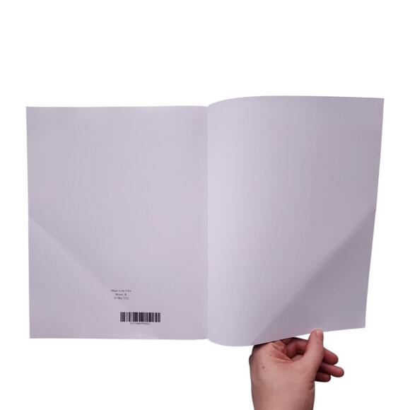 The Federalist Papers Large Print Unabridged 1787 Original Version Hamilton Jay - Picture 10 of 12